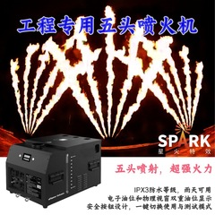 ハイエンド五頭噴火機プロジェクト専用舞台演出噴火機アウトドア防水噴火機