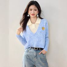 2025新款韩版时尚百搭显瘦针织衫女设计感小众毛衣背心两件套上衣
