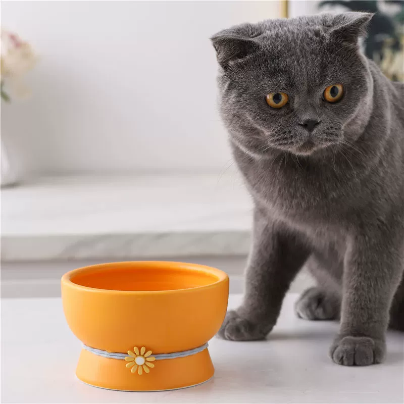  tall footed ceramic cat and dog water bowl to prevent black chin matte black pet bowl small black grain bowl
