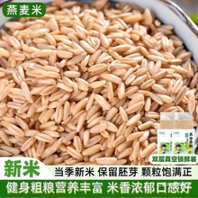 燕麦米2025年新米农家糙米五谷杂粮胚芽米生燕麦粒健康粗粮