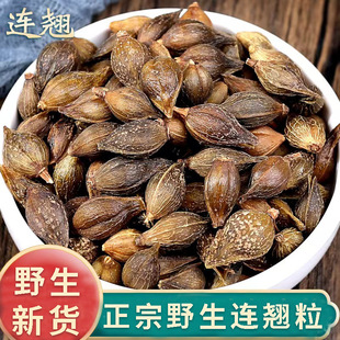 正品野生连翘新货中药材500g正宗贯叶青翘黄翘绿翘老翘落翘粉泡茶-阿里巴巴