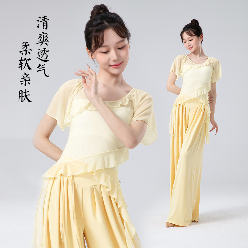 女性用の新しいクラシックダンス服、フリル半袖弾性メッシュトップ、中国モダンダンスボディリズム練習服|undefined