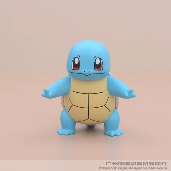 Genuine Jeni tortoise