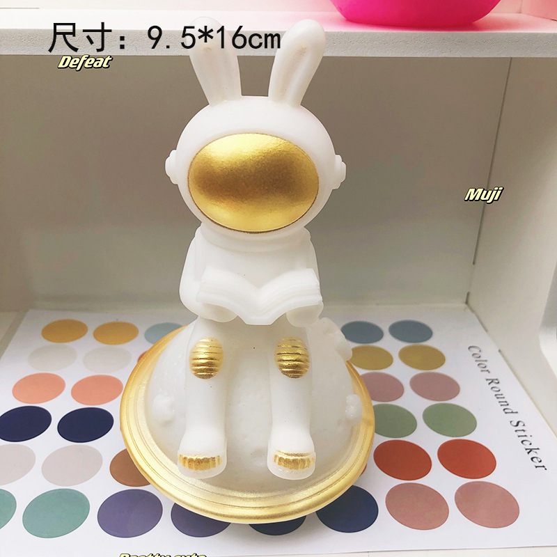 밤의 빛 행성 토끼 포옹 책 화이트