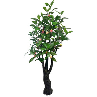 ����ˮ��ë�Ҙ�Gֲ�O����͏d�b[���Ĕz���Ә�S�����l�ٙ���