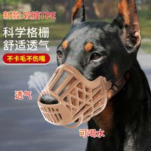 �������׷�ҧ���п��֌�����y�Է��yҧ��������ȮС��ȮС������