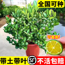 ����С�������玧����ˮ���ʘ��Ϸ������҃ȿ͏d������Թ������