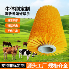 牛体刷奶牛清洁刷挠痒按摩清洗毛刷牧场专用刷马体清洗刷子批发