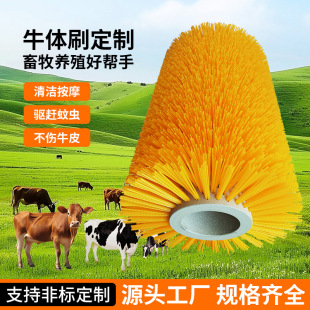 ţ�wˢ��ţ�坍ˢ�ϰW��Ħ��ϴëˢ��������ˢ�R�w��ϴˢ�����l