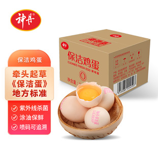 ��40ö�o�����ر����r�u������ʳ�J�C���ﵰ�I�B�o���󵰼�ͥ�b