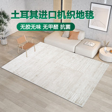 威尔顿机织地毯客厅冬天意式极简抗菌无胶土耳其进口茶几家用地毯