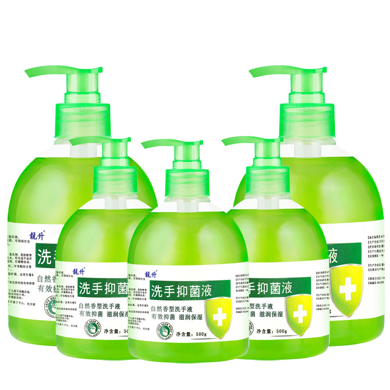 【10本入りフルボックス】Longsheng 抗菌手指消毒剤 500g フレグランス アロエベラ 抗菌 家庭用 手をきれいにし、保湿します|undefined