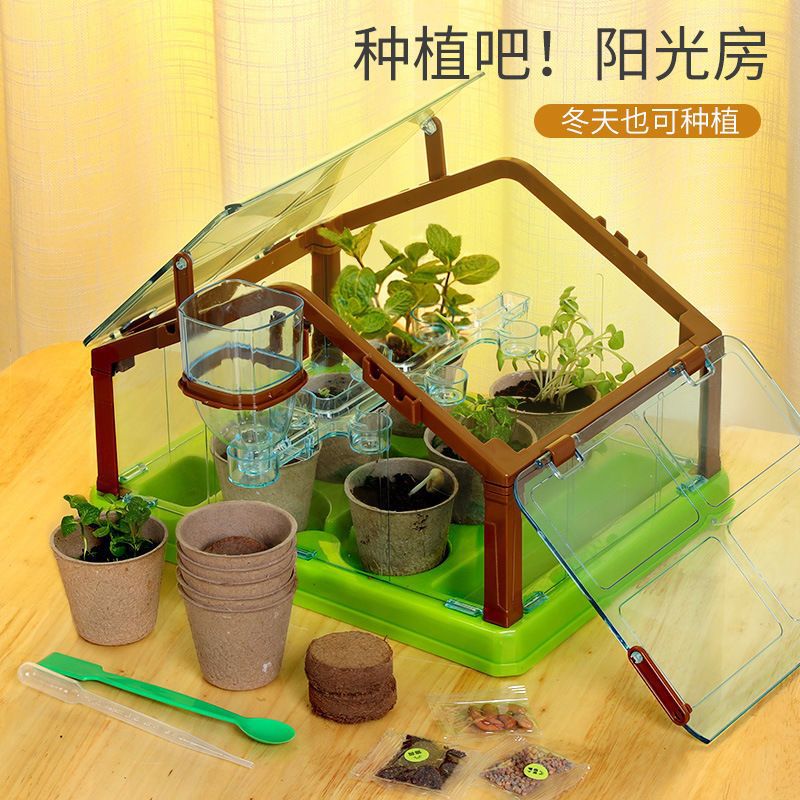 儿童盆栽迷你种植吧阳光房花园玩具diy材料小学生科学小实验套装