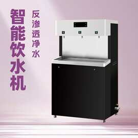 节能开水器商务饮水机直饮水机开水机厂家直销学校工厂单位烧水器