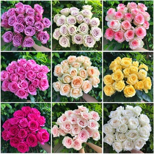 Flowers Fresh Base Bouquet Yunnan Rose Gift Straight Hair Perfume Lily Direct Batch Mail Real Flower Sunflower Cut Flower