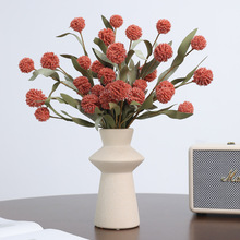 ���N��6�^�S����ٻ���ռҾӻ�c�b[���߼��з��滨�羳���l