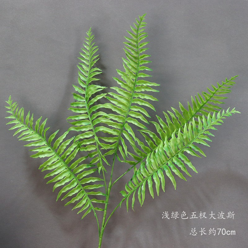 Luz verde cinco ramas, una gran rama persa