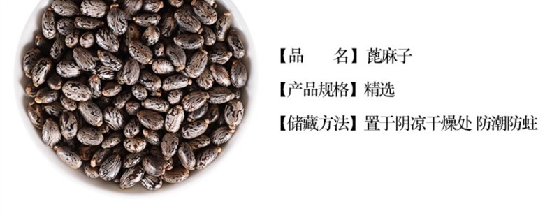 Wild Castor Seeds 500g Ricinus Communis Dried Bi Ma Zi Raw Herb for External Herbal Use overview