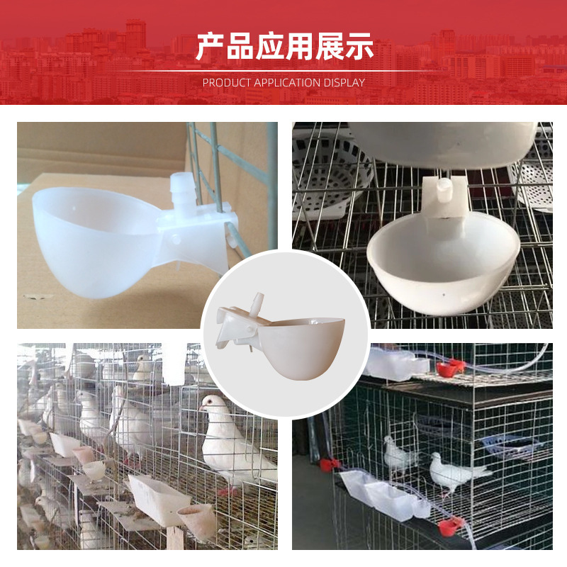 Tazón de agua de la paloma bebedor automático Loro Bird bebedor automático paloma caja de comida caja colgante bebedero image 4