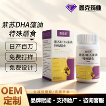 dha���K����ܛ�z���N�ƶ�����������KDHA�������z�ǹ��S����e��