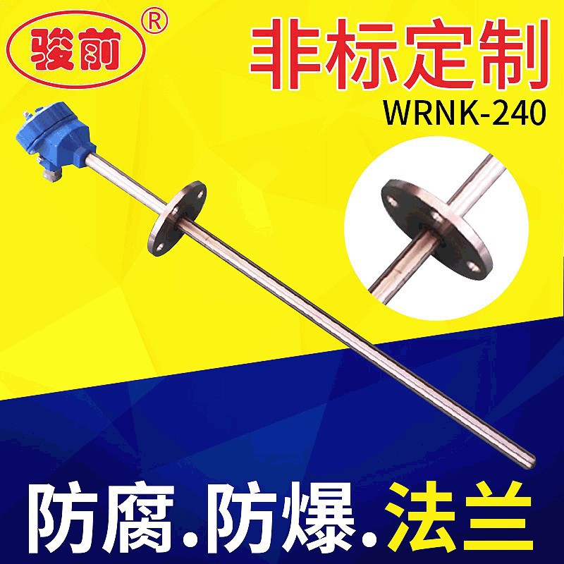 PT100防爆热电阻铠装热电偶端面热电阻防腐防爆法兰热电偶耐高温