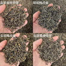 梅占花香金骏眉 武夷山桐木关红茶明前雨前头采金牡丹芽 散茶批发