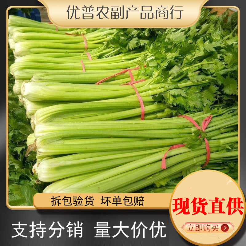 云南高原水果清芹生吃新鲜水果芹菜西芹当季青菜蔬菜现采现发批发