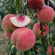 һ�����lѪ�Ҙ�������Լ޽��ش����춬�Ҙ����ϱ����N����ˮ����