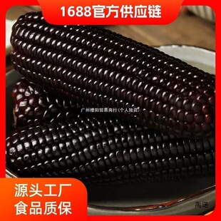 ���r10Ŵ�������ڬFժ���l֧�b�����ճ��|��������հ��b���װ�
