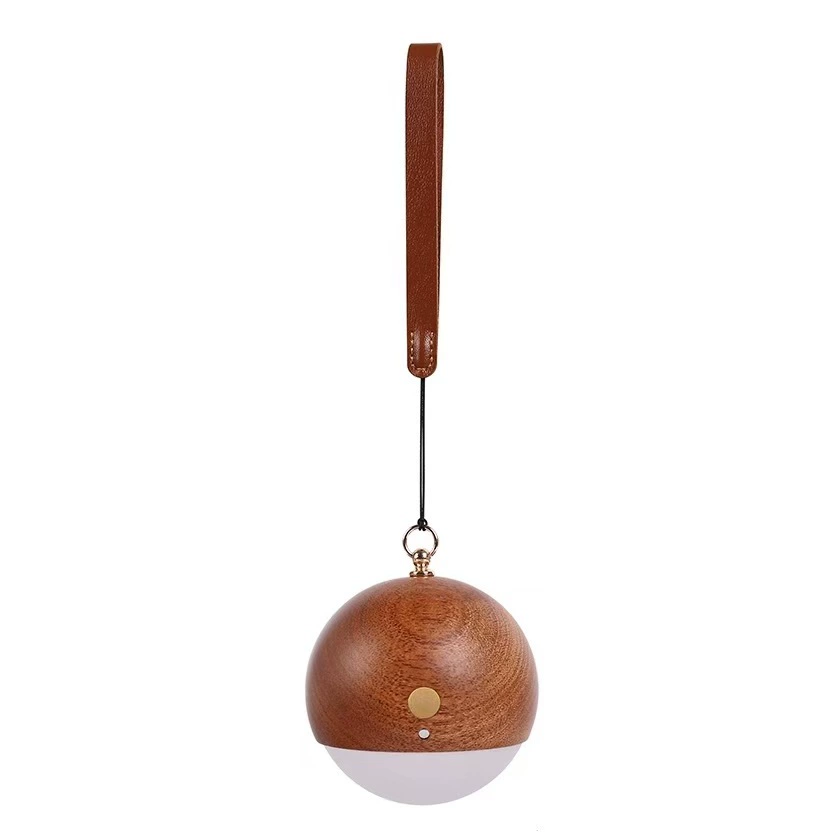 Smart physiological induction LED night light, wooden sconce for wardrobe, human sensor