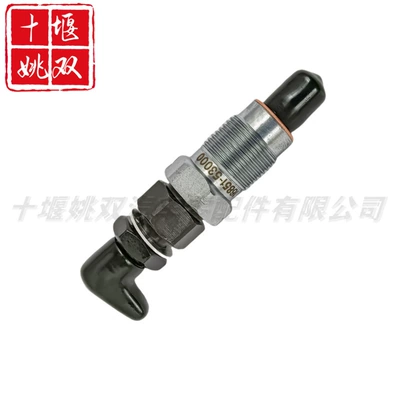 rail injector accessories brand new – Oil pump, nozzle