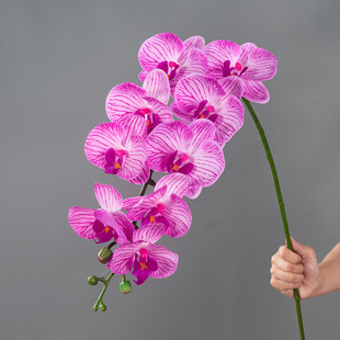 ���滨�����m��и߼��zƬ�m������ʽ�p�ݼҾӔ[����c��ˇ�ٻ���