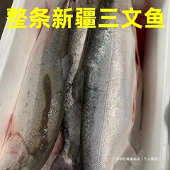 【国産新疆サーモン丸ごと】お腹を切ったサーモンを2-3kg枚に切り、刺身にしたての刺身