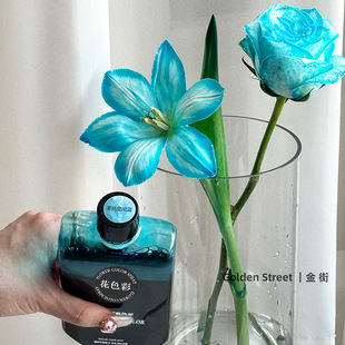 �������l ��ɫ�����ꌣ���r�����Ⱦɫ���ֹ�Ⱦ�ϻ�����ˇdiy����