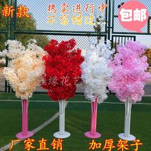 ¿chѩ·߻YT·Fˇ··b