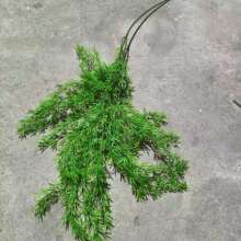 �ؘ��~�ɰ��~���������ɲ����^�b���֦�ɘ��~�}�Q���~���������l