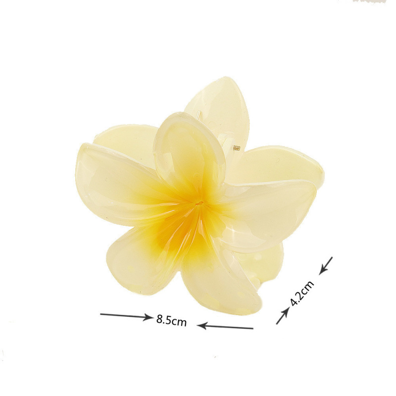 跨境彩色鸡蛋花发夹高级感精致花朵后脑勺盘发马尾半扎发头饰|undefined