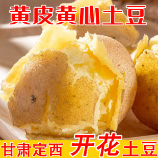 ���C�����S�ı������� �F�����rɳ������ 5 �� 9 ���b һ�����l
