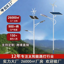 太阳能灯;道路照明灯;路灯