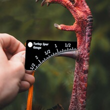 ���R�d�����yʽ��ȤWild Turkey Spur GaugeҰ�����u�R�̜y����