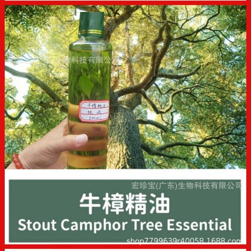 牛樟精油台湾厂家直供正品牛樟精油纯度高