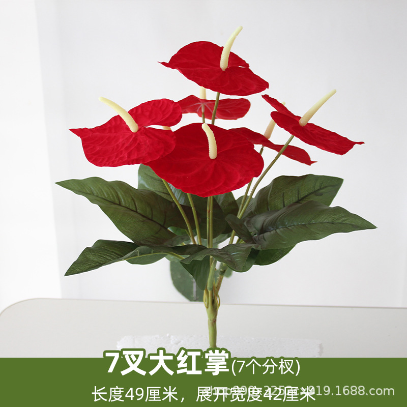 7-rama gran palma roja