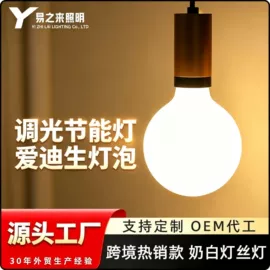 LED球泡灯;小夜灯;吊灯