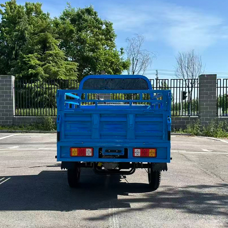 Exportación transfronteriza de mercancías triciclo eléctrico de acero grueso carro de acero para la agricultura casera triciclo de tracción de carga