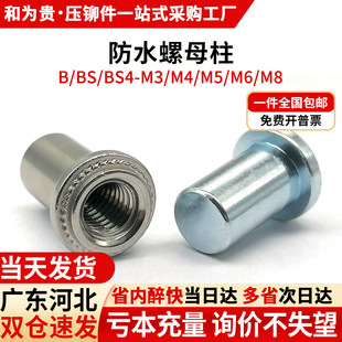̼���\��ˮ��ĸ�����P䓲��P�F��ˮ���T���� BS/BS4-M3M4M5M6M8