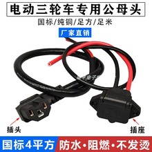 電動電瓶車公母三孔插頭三輪車電池4平方彎頭線T型充電器插頭插座