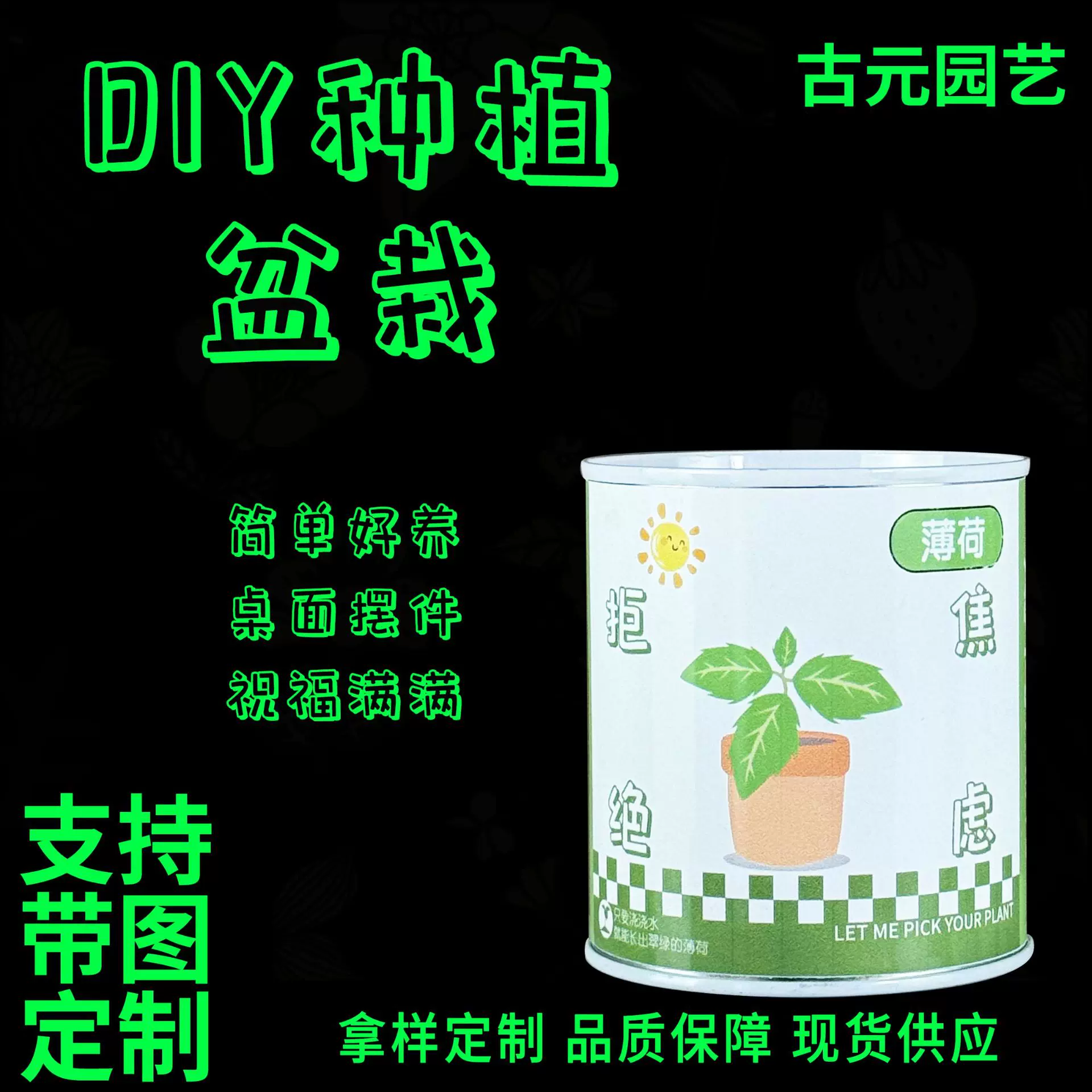 DIY毕业礼物 办公室种植盆栽 儿童种植盲盒 趣味易拉罐绿植批发