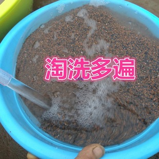 ��Cú��ȥ������m���I�B��ú̿������Y͸����ϴ���ݸɃ�