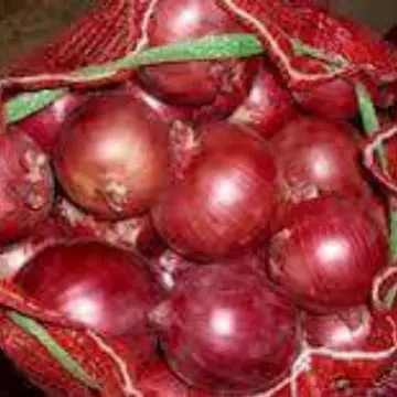 红葱，黄葱，红洋葱，黄洋葱，洋葱，,onion，山东产地产地直供