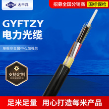 室外阻燃GYFTZY光纜供應單模GYFTZY4芯阻燃架空通信 太平洋電纜